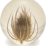 Teasel Paperweight