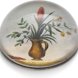 John Derian Flower Vase Paperweight