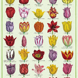 Vintage Poster Wrapping Paper