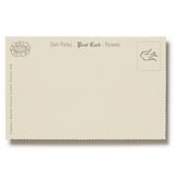 Choosing Keeping Embossed Nostalgic Postcard, Birthdays