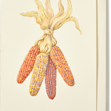 Engraved Corn Bouquet Greeting Card