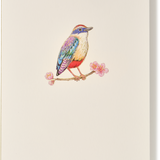 Kingfisher Bird Embossed Greeting Card