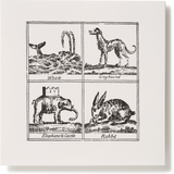 Square Miscellany Greeting Card, Whale