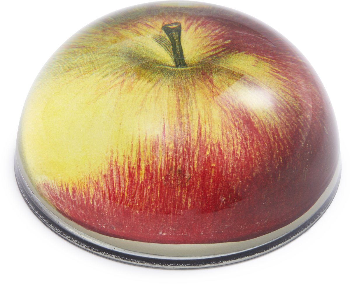 John Derian Red Apple Paperweight – Choosing Keeping