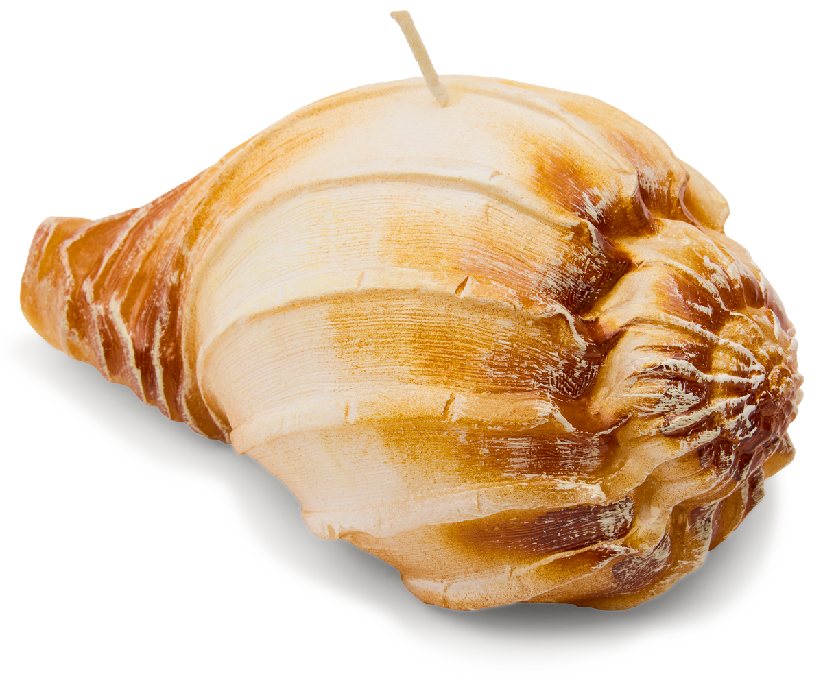 Ridged Shell Candle – Choosing Keeping