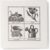 Square Miscellany Greeting Card, Grasshopper