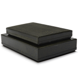 Green Lizard Storage Box