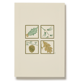 Mistletoe and Pine Icons Greeting Card