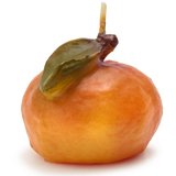 Mini Clementine Candle