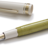 Pistache Marbled Sailor Pro Gear Mini Slim Fountain Pen