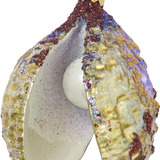 Purple Clam with Pearl Glass Ornament