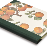 Hardback "Composition Ledger" Notebook, Apricots