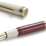 Bordeaux Foncé Marbled Sailor Pro Gear Mini Slim Fountain Pen