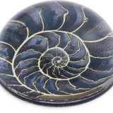 John Derian Nautical Paperweight