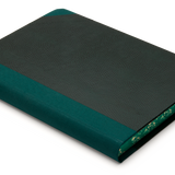 Extra-Thick "Composition Ledger" Notebook, Green Iguana
