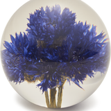 Blue Cornflower Paperweight