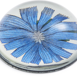John Derian Cornflower Paperweight