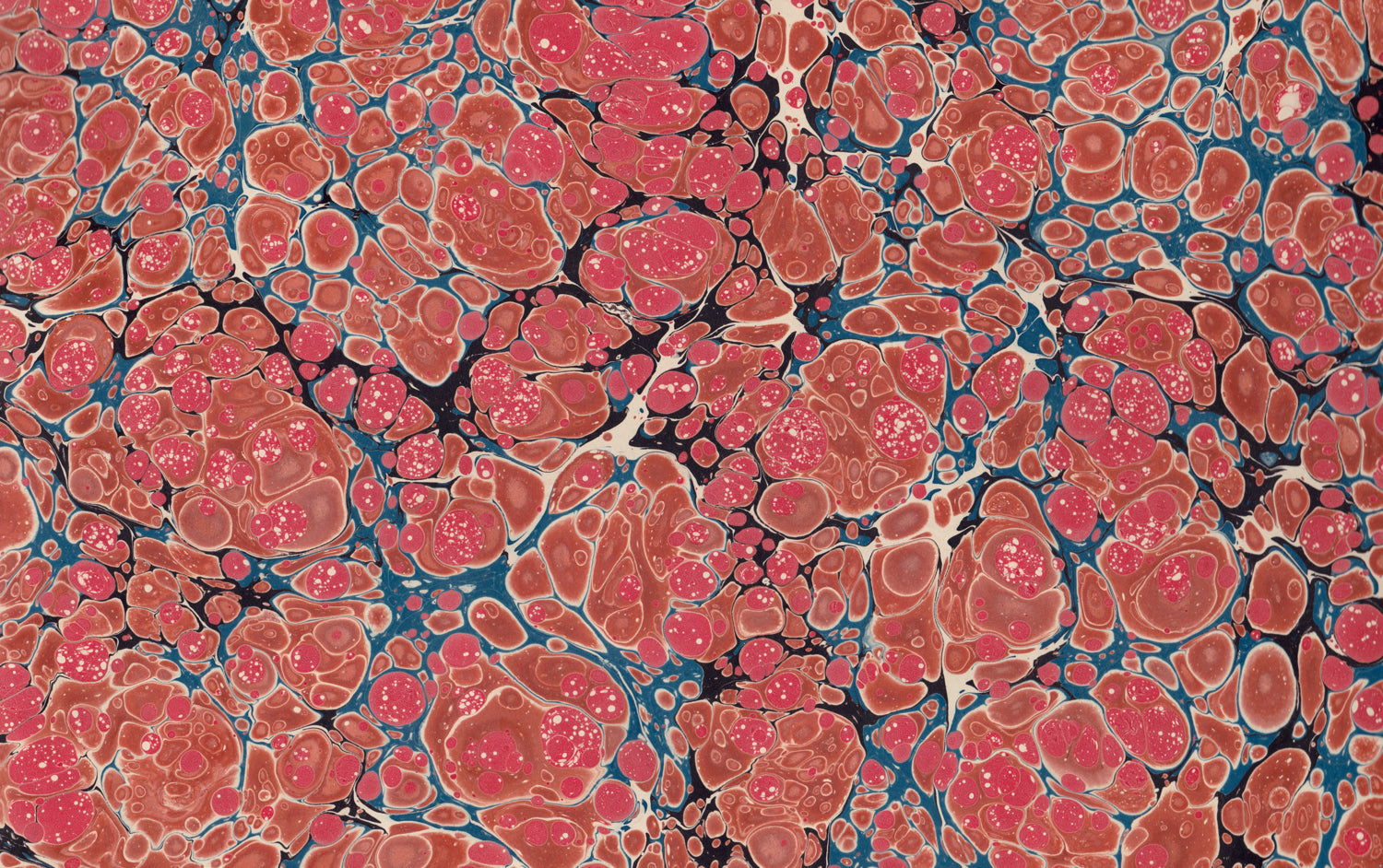 Hand Marbled Paper Sheet, Red Shells with Stormont Pattern