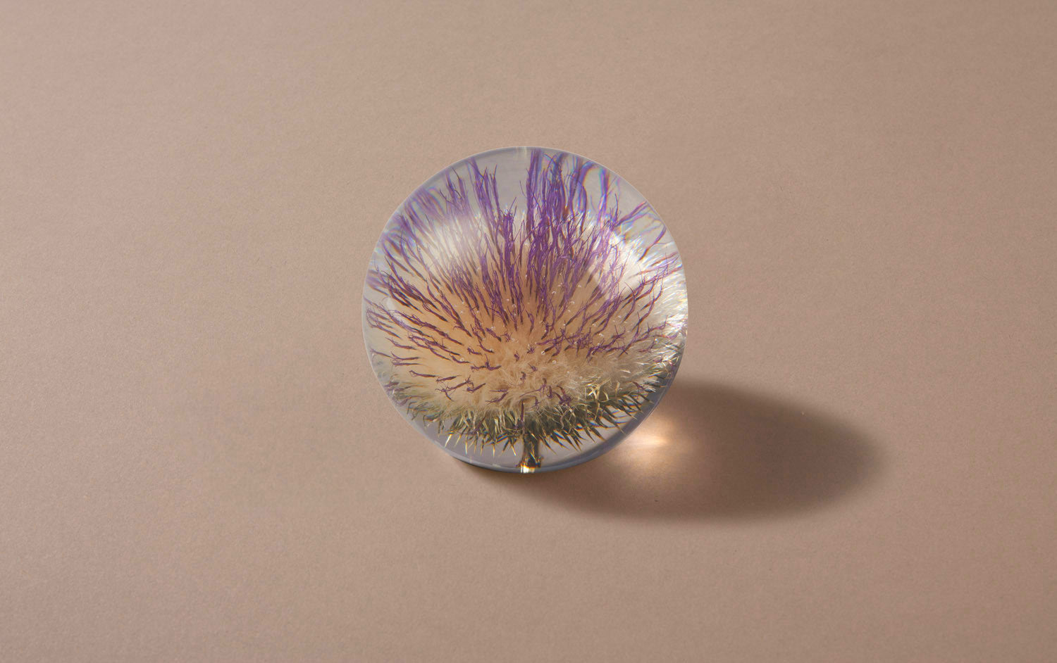 Purple Thistle Paperweight