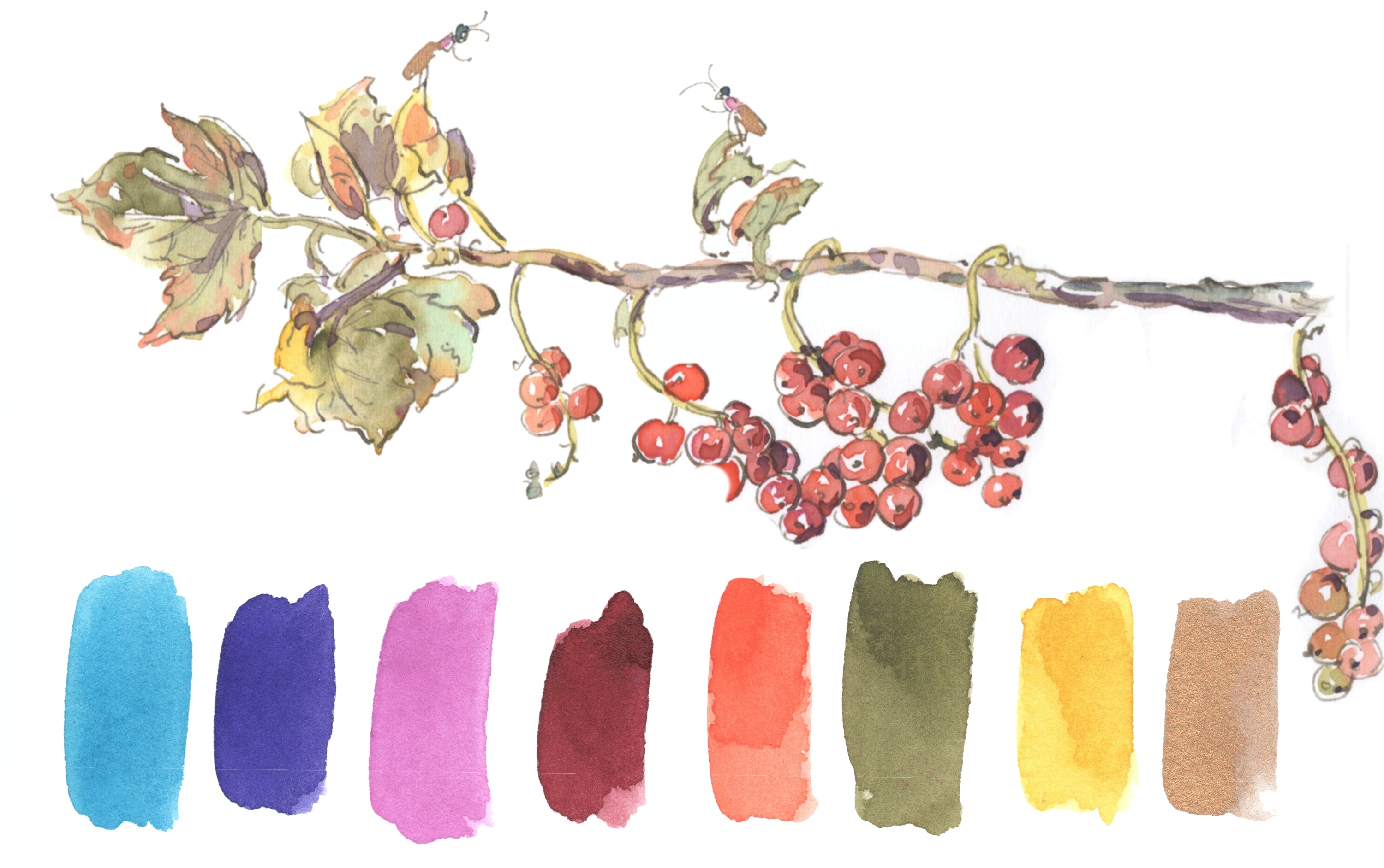 Japanese Seasons Watercolour Set, Autumn – Choosing Keeping