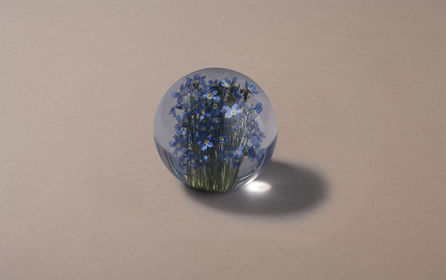 Blue Forget-Me-Not Paperweight