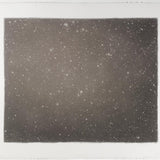 Artist's Willow Charcoal Drawing Sticks