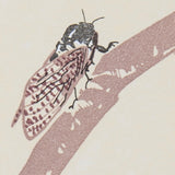 Letterpress Cicada Greeting Card