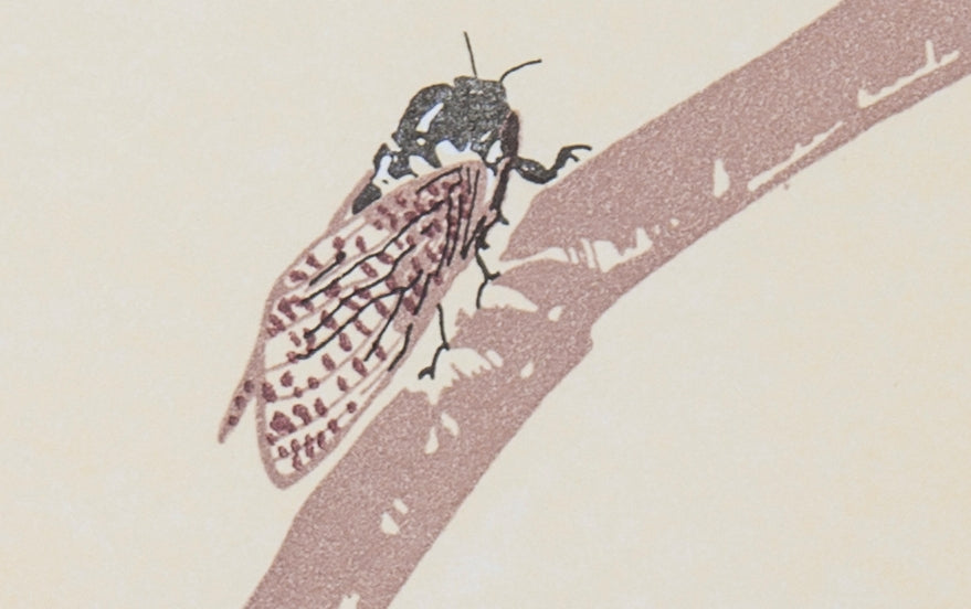 Letterpress Cicada Greeting Card