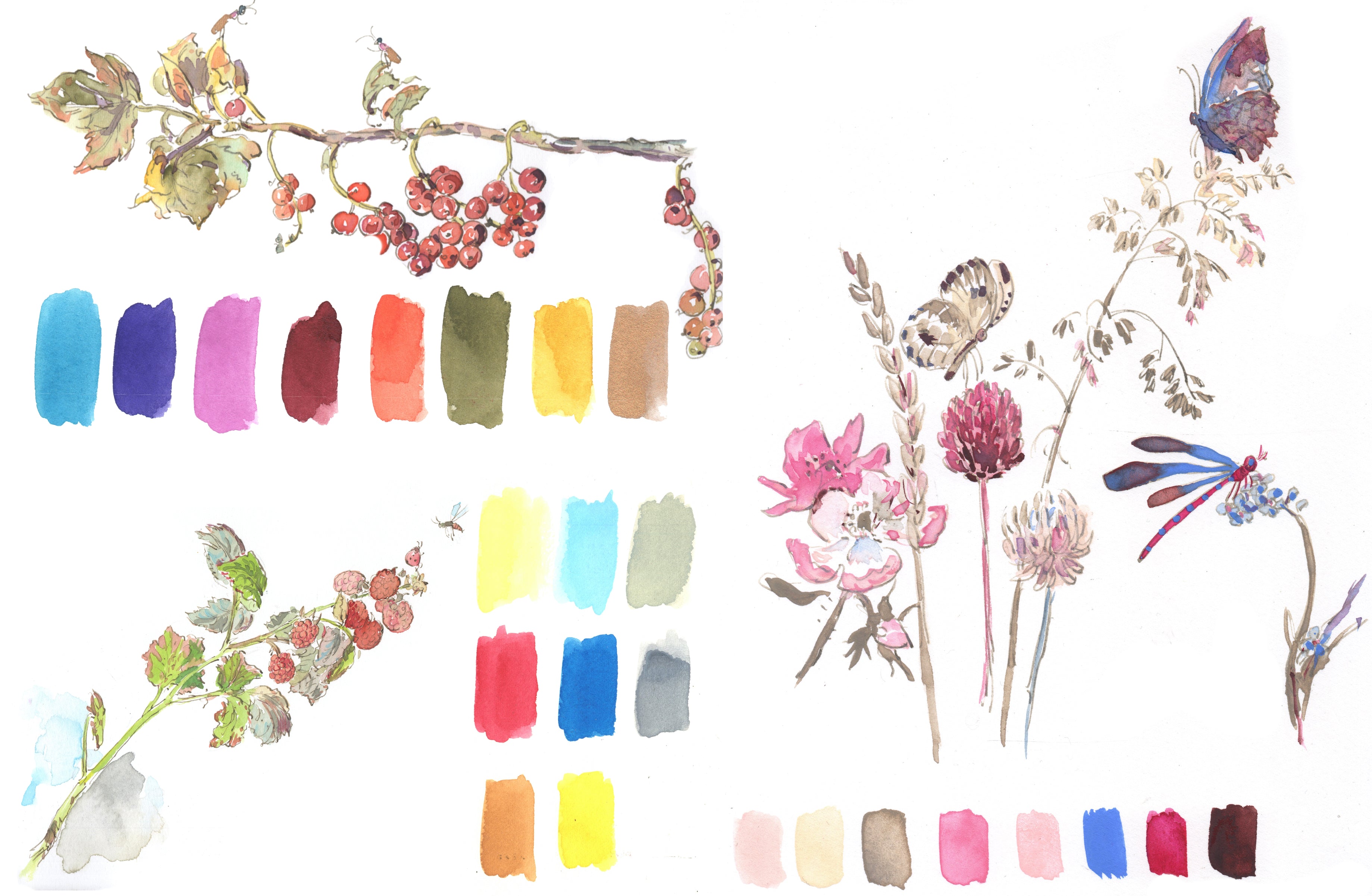 Japanese Seasons Watercolour Set, Autumn – Choosing Keeping