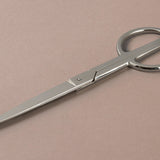 Large Silver Choosing Keeping scissors
