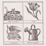 4 Georgian Miscellany Greeting Cards, B