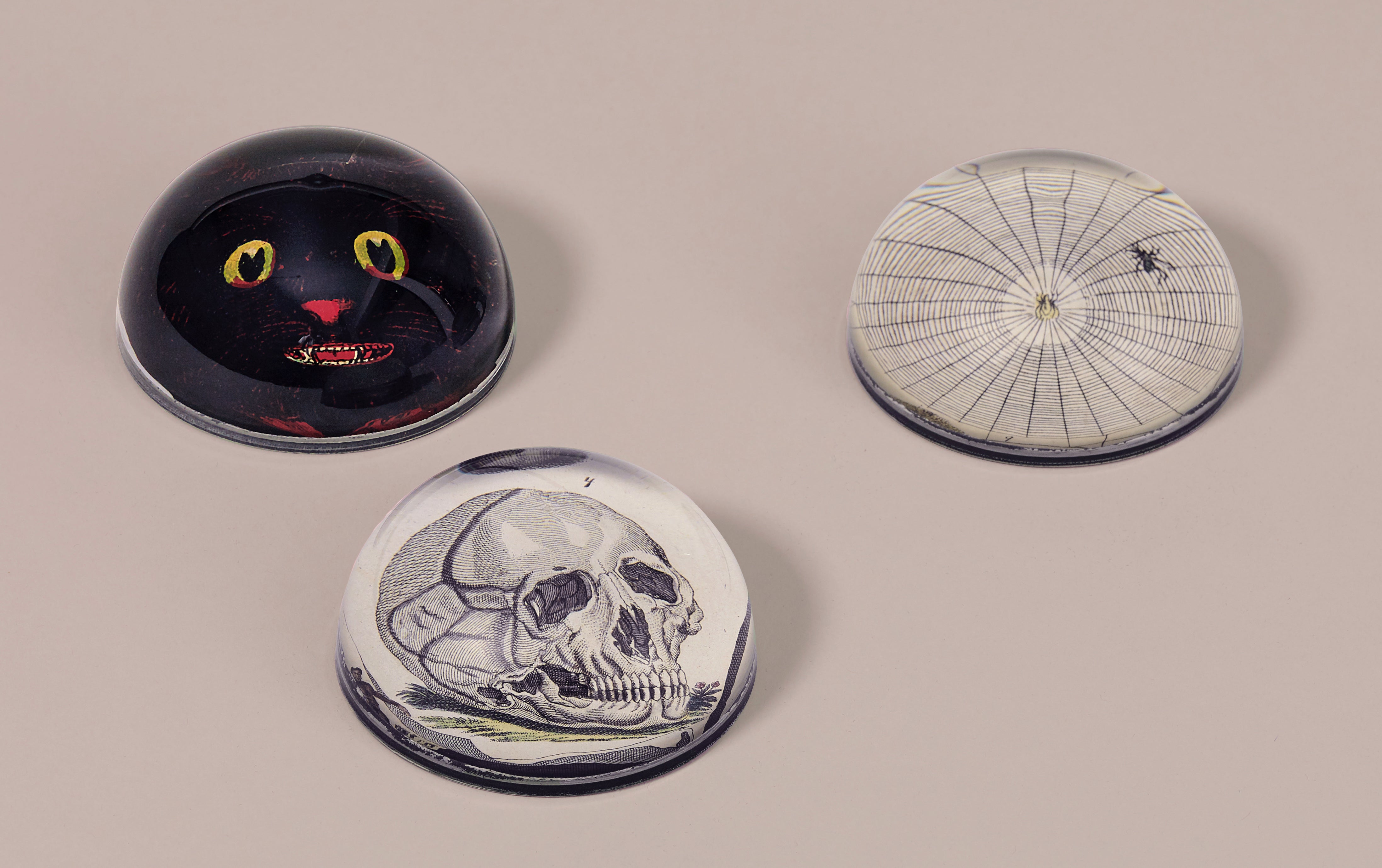 John Derian Paperweights, Spooky Selection