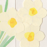 Japanese Folded Greeting Card, Daffodil