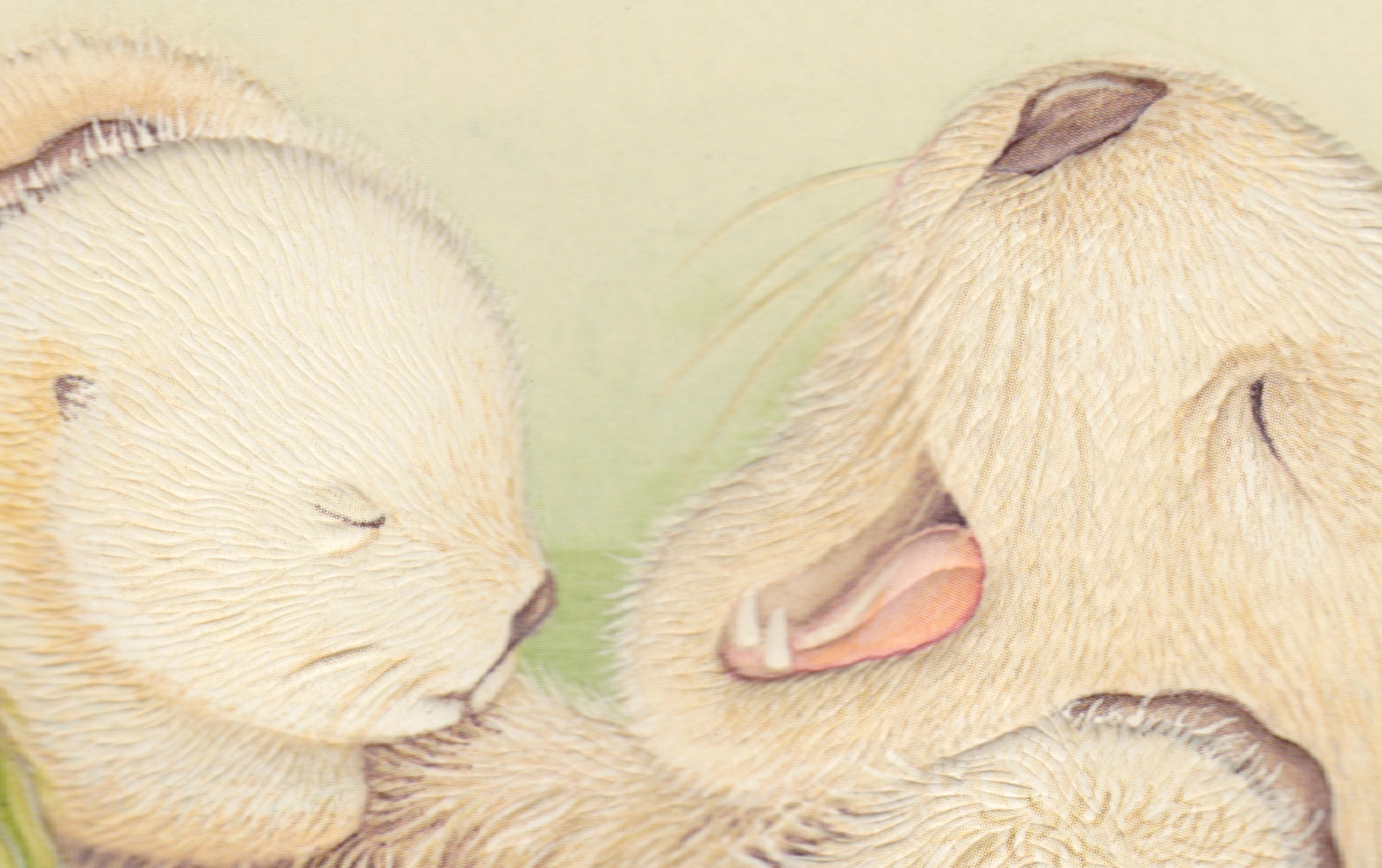 Engraved Otter Cuddles Greeting Card