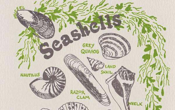 Letterpress Nature Seashells Greeting Card