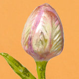 Christmas Ornament, Pink Tulip on Clip