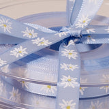 Premium Decorative Ribbon, 20m roll - Edelweiss