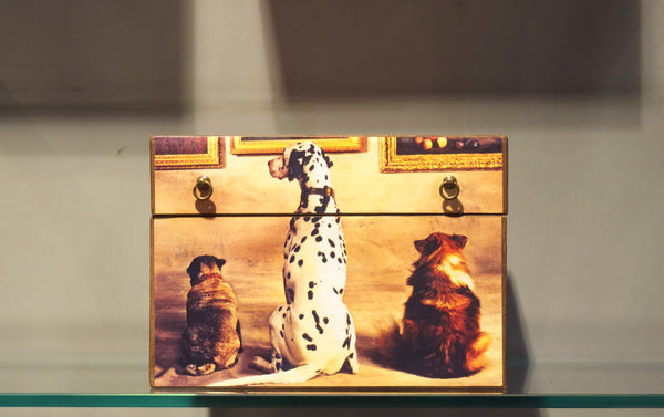 Ann Hepper Decorative Box, Dogs in Picture Library