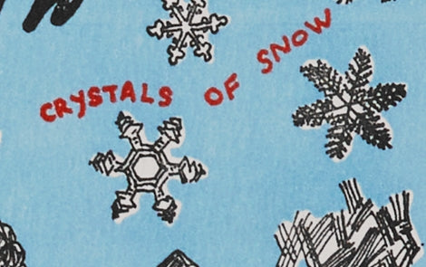 Letterpress Know the Snow Greeting Card