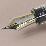 Demonstrator Clear Sailor Pro Gear 21k MF Fountain Pen