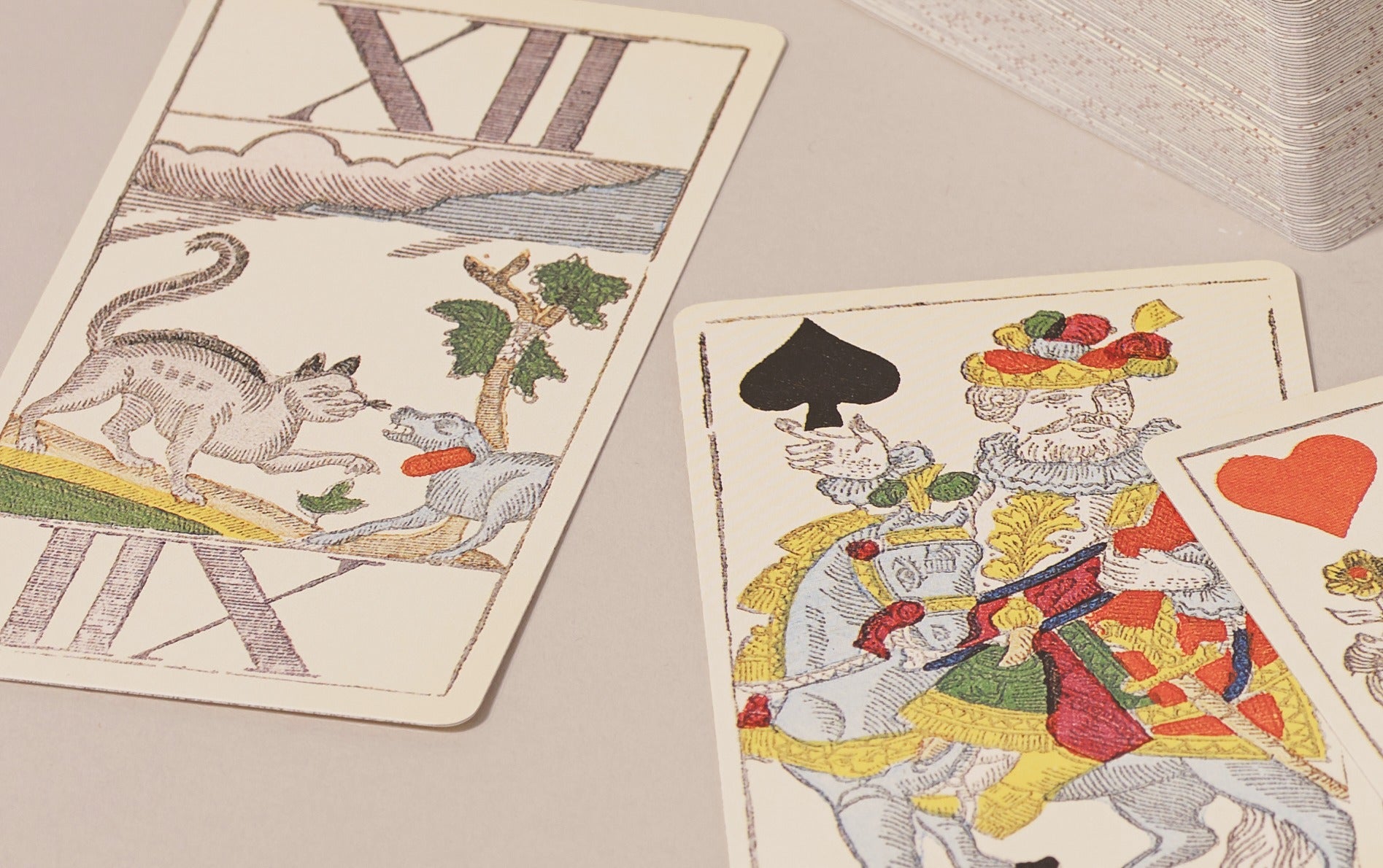 Historical Animal Tarot Playing Cards, Variation on Paris Pattern