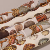 Assorted Eggs and Angels Wrapping Papers