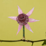 Christmas Ornament, Pink Daisy