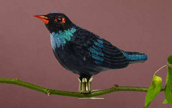 Christmas Ornament, Blackbird