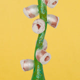 Christmas Ornament, Pink Foxglove