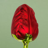 Christmas Ornament, Tulips