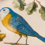 John Derian Paperweight, Birds