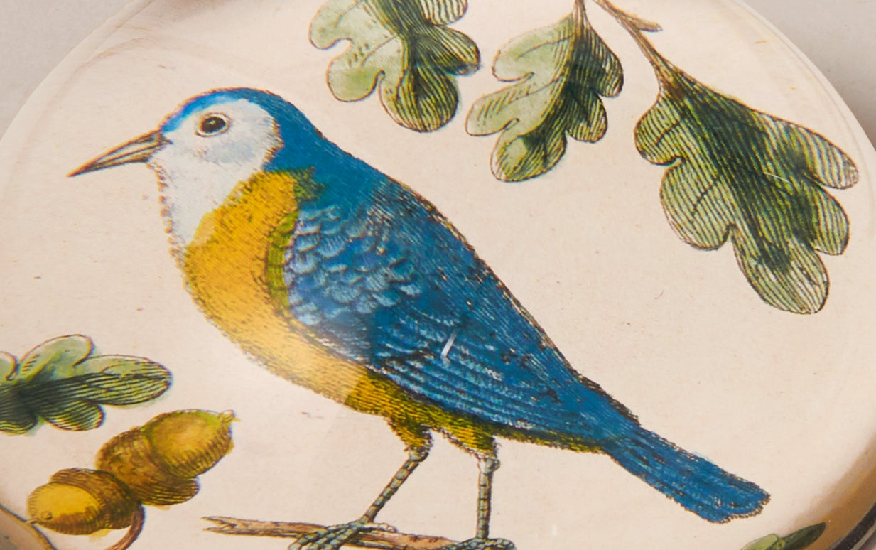 John Derian Paperweight, Birds