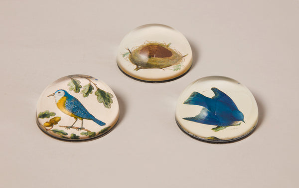 John Derian Paperweight, Birds