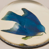 John Derian Paperweight, Birds